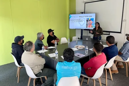 Supervisión profesional en normativas STPS Supervisión en cumplimiento normativo STPS
